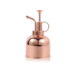 10 oz Stainless Steel Plant Mister — view 4